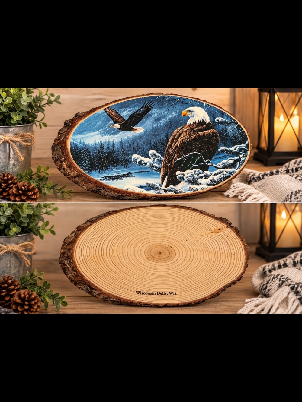 Woodland Eagle Oval Wood Slice Wall Art - Blue